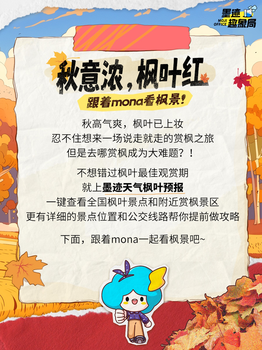 枫叶红了最新——小巷美食的秘密