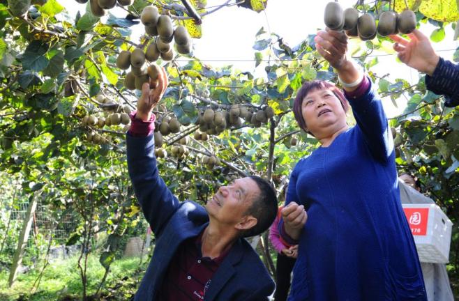 苍溪新闻最新消息，高科技产品引领未来，开启全新生活体验