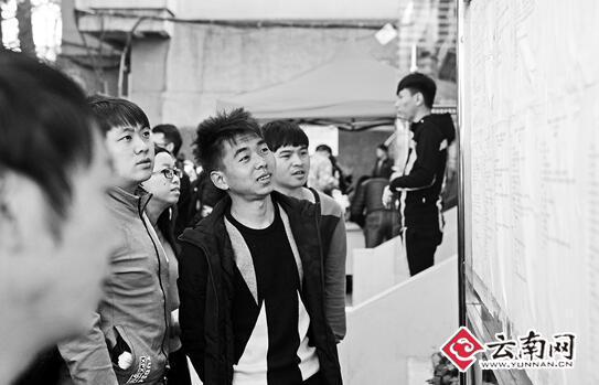 昆明招聘网最新职位更新，职业发展的理想起点